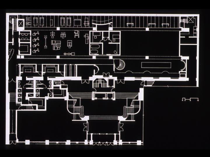 LA PALESTRA- The Eugene