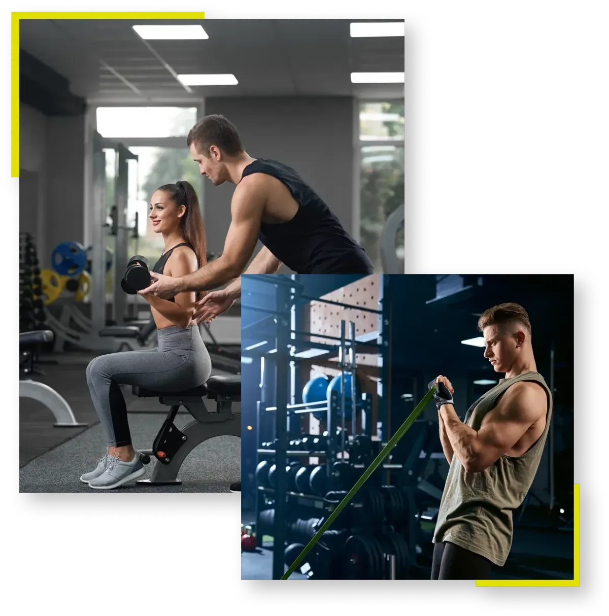 Alloy - South Tampa FL