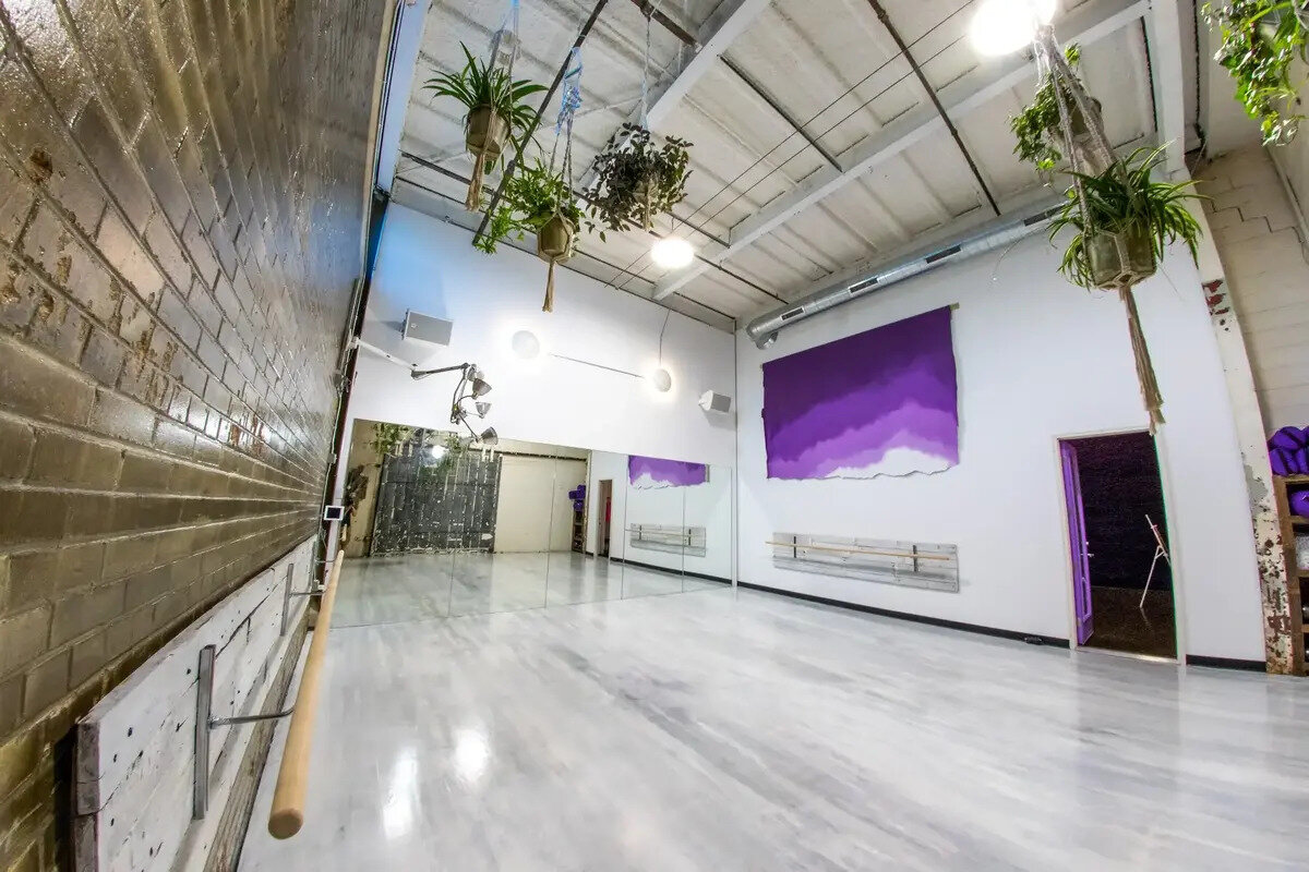 Fly Freak Studio