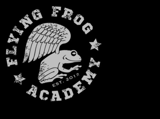 Flying Frog Academy