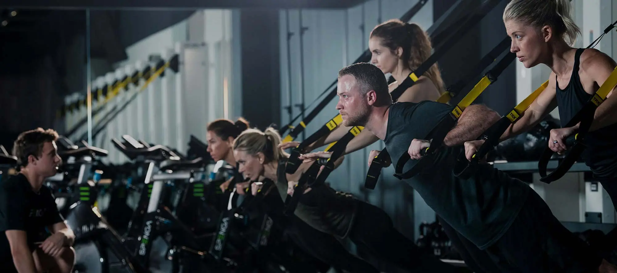 SPENGA - Bloomingdale