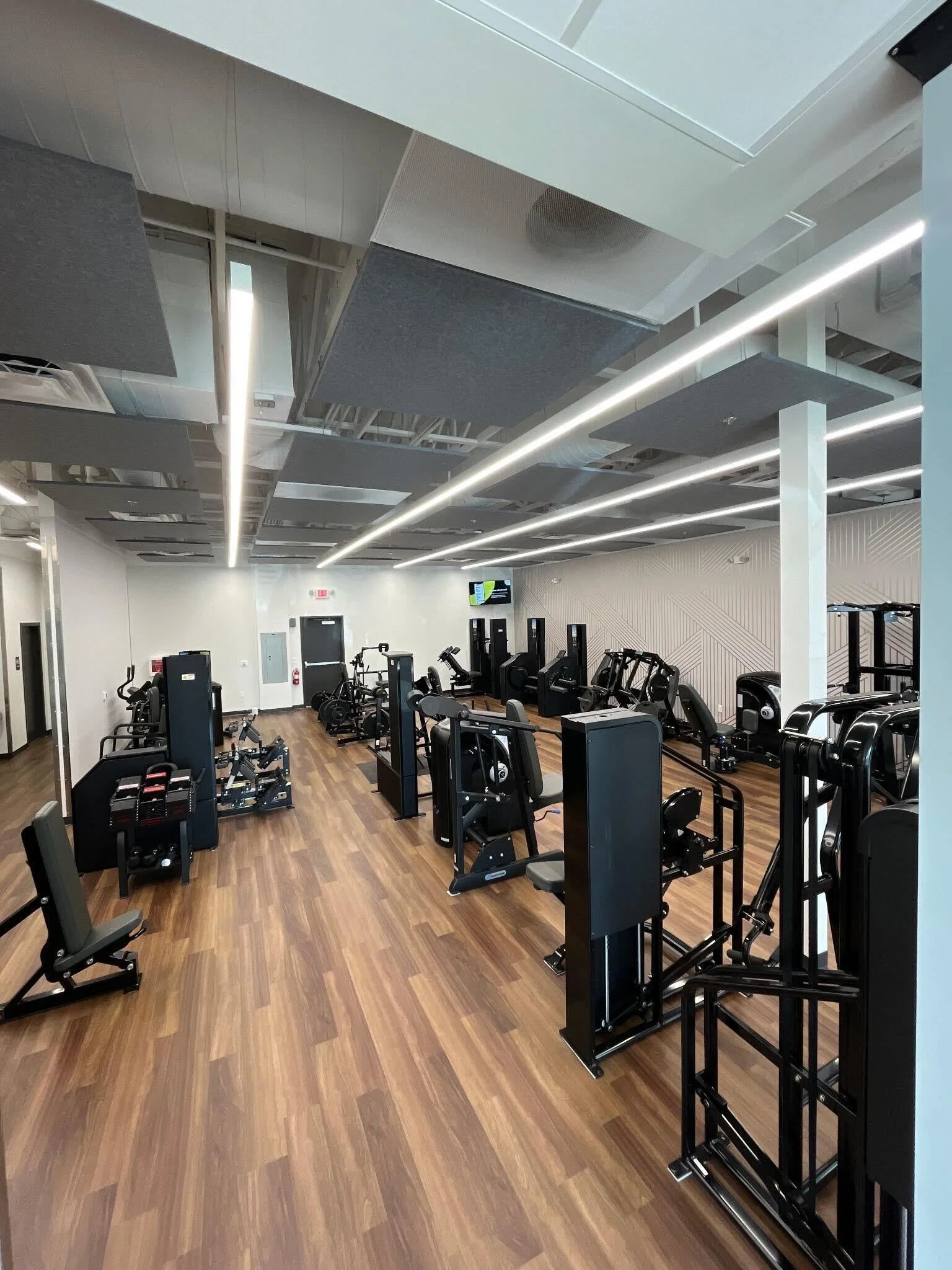 Discover Strength Gilbert