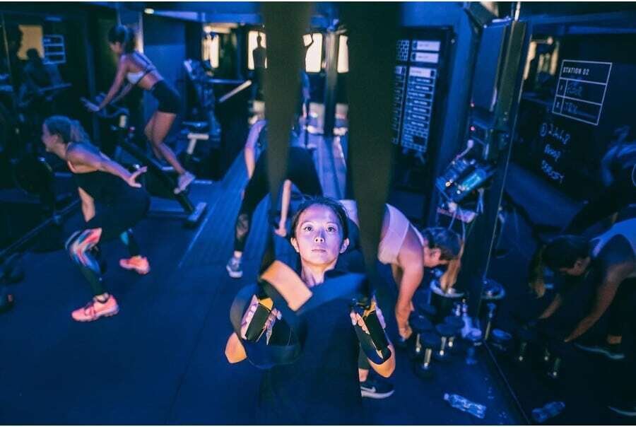 Gin or Gym Fitness