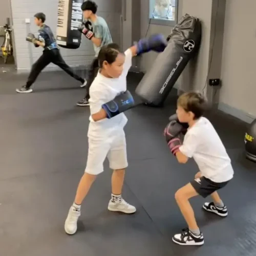 City Boxing Camp