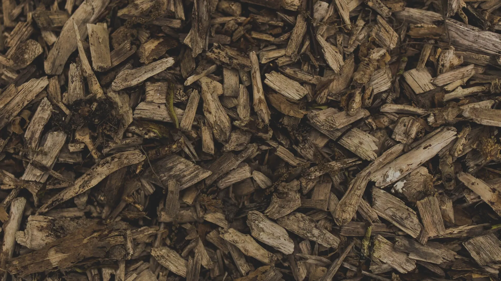 Hatch Gatherings at Fox Point Farms