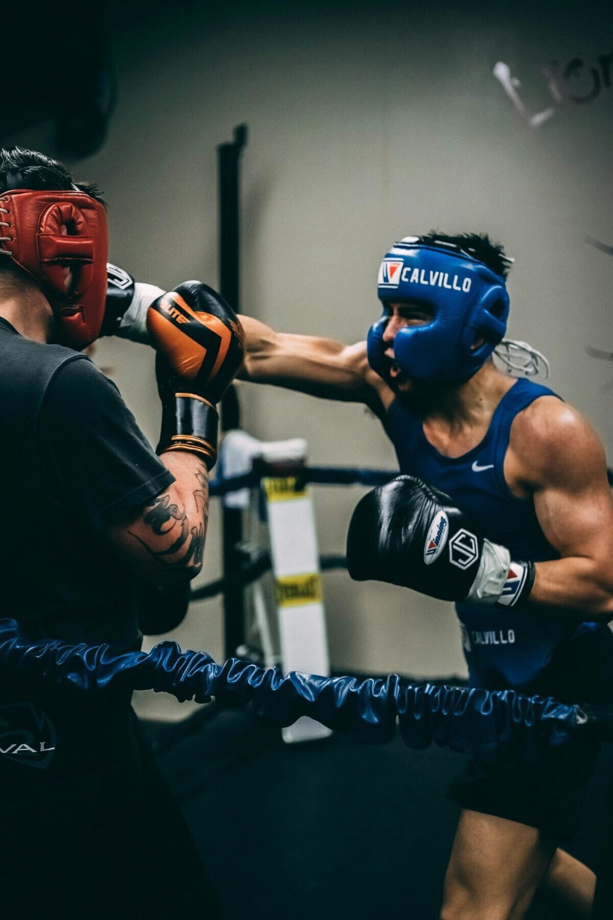 Fulham Boxing Club