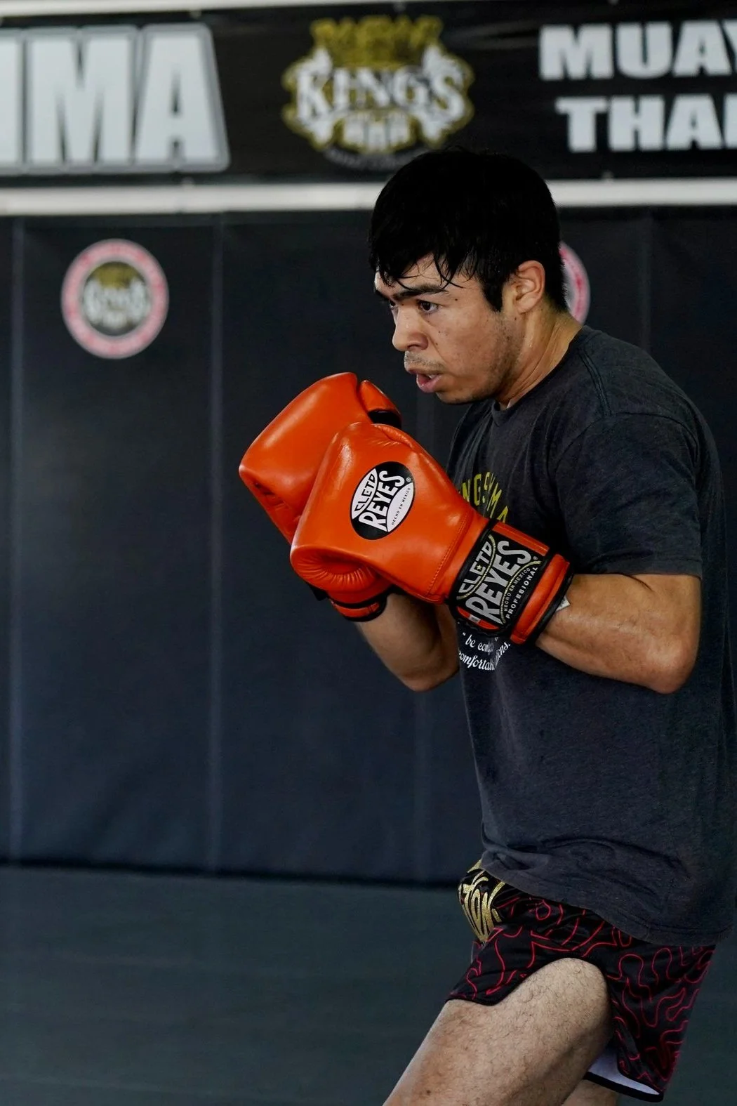 Kings MMA