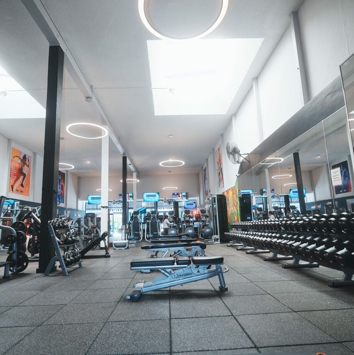 Live Fit Gym- Arguello